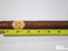 La_Aurora-Gran_107-11