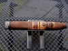 Oliva_V-Melanio-07