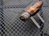 Oliva_V-Melanio-16