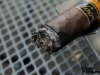 Perdomo Champagne Noir