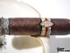 Quesada Oktoberfest