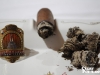 Alec_Bradley-New_York-35