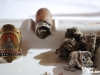Alec_Bradley-New_York-36