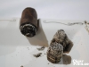 Bonita_Smoke_Shop-Value_House_Blend_Maduro-27