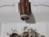 adrians-cromagnon-27