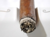 adrians-cromagnon-28