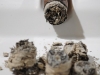 adrians-cromagnon-29