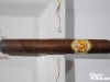 La_Aurora-Gran_107-28