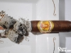 La_Aurora-Gran_107-47