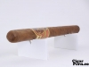 Oliva V Lancero