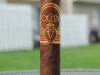 Oliva-V-05