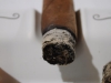 Punch Rare Corojo 10th Anniversary