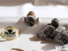 Rodrigo Cigars Belicoso